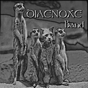 diaenoxe band