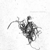 Dont Put Your Hands There