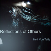 Reflections of Others