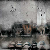 Ghost in the Machine