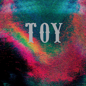 toy