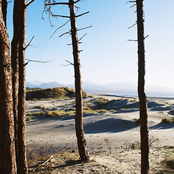 Primordial Slot Machine