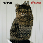 Pepper
