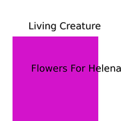 Flowers For Helena