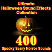 Ultimate Halloween Sound Effects Collection – 400 Spooky Scary Horror Sounds
