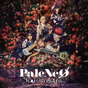 Raison d'etre - Single