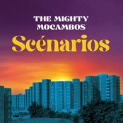 Scénarios (Live)