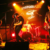 stonebirds