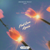 Find Love Again