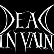 Dead In Vain