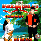 Los Indomables: Cumbias 20 Exitos