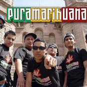 Cumbia de Locos