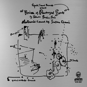 Voices Of Packaged Souls