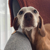 Ruby: B​-​sides & Rarities