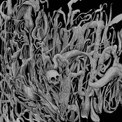 80 Years Without Slumber