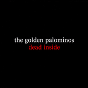 Metal Eye by The Golden Palominos