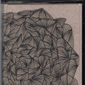 Samuel Goldberg v. Body Morph