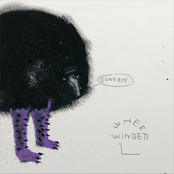 Can't Say Goodbye Every Time / Kiss Your Worries Goodbye