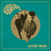 Lucid Trail