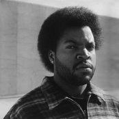 ice cube