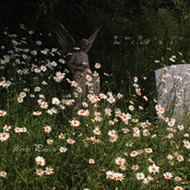 When the Sun Dies - Single