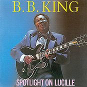 Feedin' The Rock by B.b. King