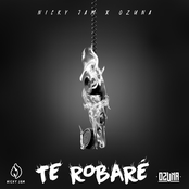 Te Robaré