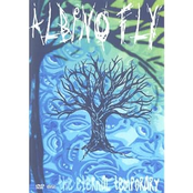 The Eternal Temporary (EP)