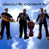 electrik consort