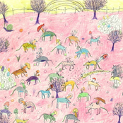 doggy paddle tore tape 2011