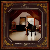 A Beach of Nightly Glory