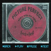 Picture Perfect (Angry with the Right)