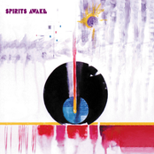 Spirits Awake