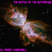 The Battle of the Butterflies