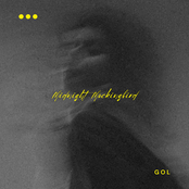 Midnight Mockingbird