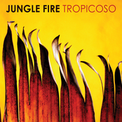 Tropicoso by Jungle Fire