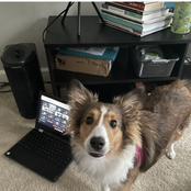 Got You (Where I Want You) - EP