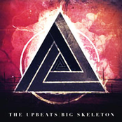 Big Skeleton