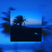 Transcoastal Night Drive