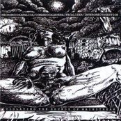 Violating The Sounds Of Mainstream