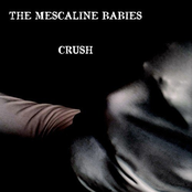 Heart Full Of Wine by The Mescaline Babies
