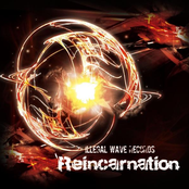 Reincarnation