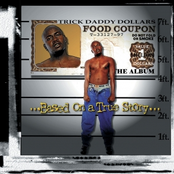 Now They Wanna Holler by Trick Daddy