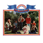 Tears In The Morning van Beach Boys