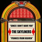 Pennies From Heaven by The Skyliners