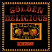 Darling Corey by Golden Delicious