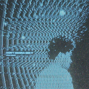 Indigo Elephant: Don't Wanna See It