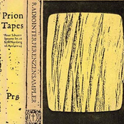 Radiointerferenzensampler