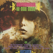 Rubble 11 - Adventures In The Mist