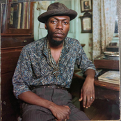 I Do Whatever The Fuck I Want